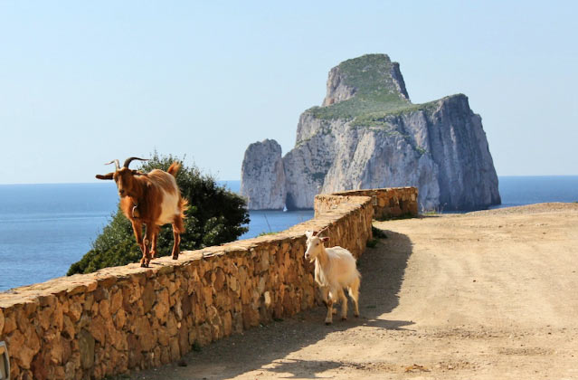 Sardegna: Location Fotografiche Spettacolari