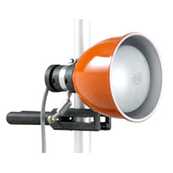 Lampada Photoflood 500watt per Fotografia e Video
